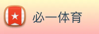 必一体育 Logo
